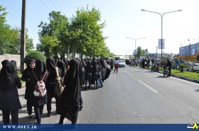 تصاویر استقبال سفارشی از احمدی نژاد در رشت