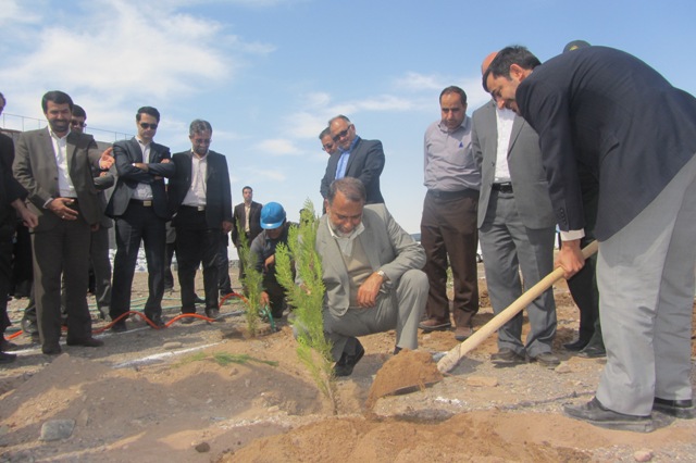گرامیداشت روز درختکاری در پروژه در حال احداث دانشگاه حضرت نرجس(س) رفسنجان / تصاویر