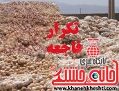 دپو غیر اصولی اینبار هم پیاز را قربانی کرد + تصاویر