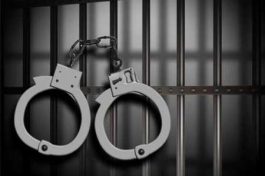 دستگیری سارق محتویات خودرو با ۹ فقره سرقت در رفسنجان
