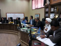 بررسی دغدغه ها و نیازهای بانوان شهر رفسنجان در صحن شورای اسلامی شهر