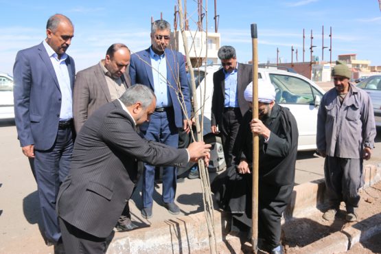 روز درختکاری در رفسنجان گرامی داشته شد / تصاویر